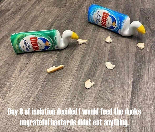 day8