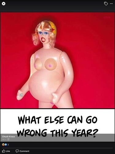 117639260_330272918113977_1154544684691290445_n