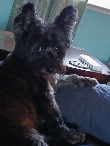 Gus