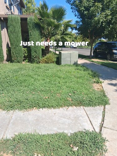 goobers lawn