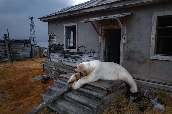 Snap 2025-10-16 at 04.44.35