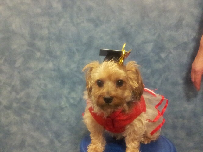 Lola graduates