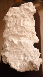 thumbnail_Salamander_resized_20240118_102405917