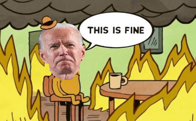 BidenFine