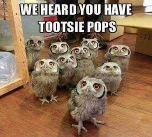 FB_IMG_1588645934996